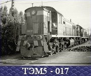 ТЭМ5 - 017.